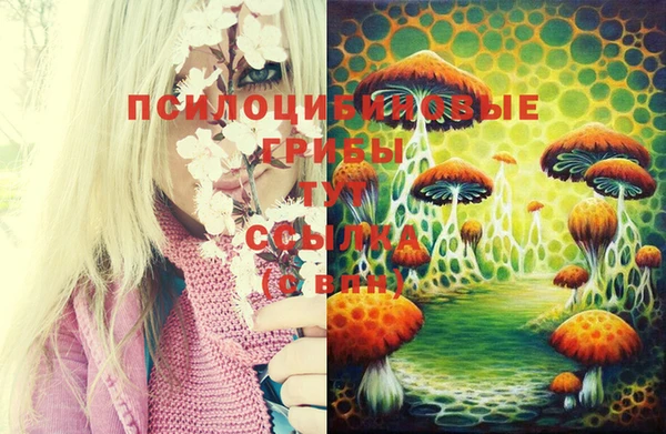 гашик Алексеевка