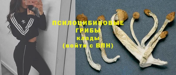 гашик Алексеевка